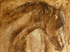paulacollewijn